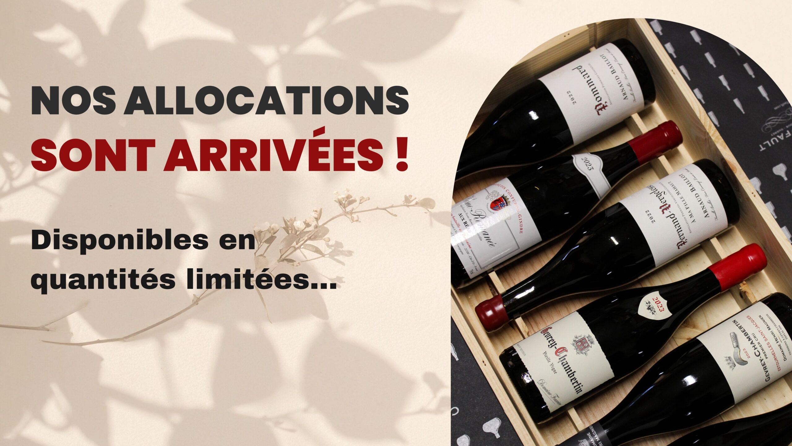 allocations-caves-raffault-bourgogne-corse